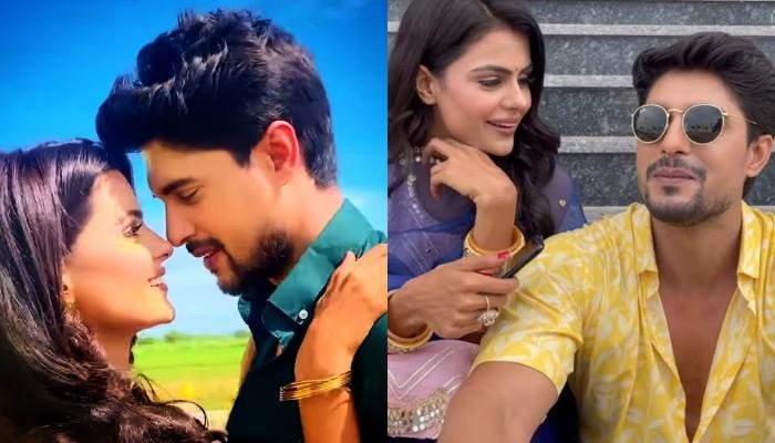 Ankit Gupta Speaks On His Relationship With Co-Star Priyanka Chahar Choudhary In