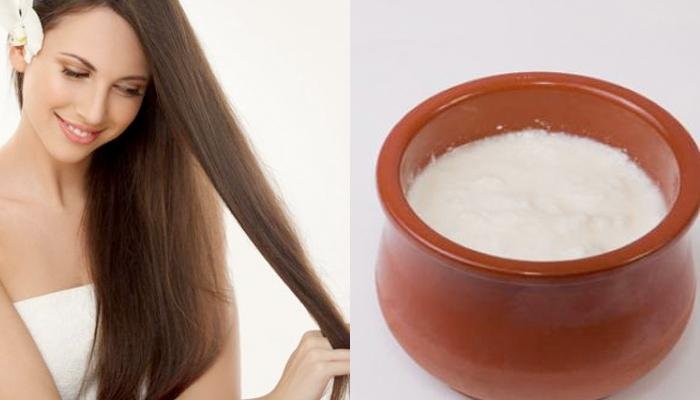 8 DIY Yogurt Hair Masks For Stronger, Healthier Hair: Combat Hair Fall, Dandruff, Dryness