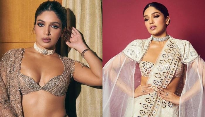 Bhumi Pednekar Dazzles In A Sheer Net Saree And A Risque