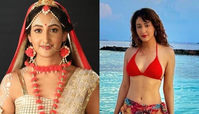 Shivya Pathania Turns The Heat In A Sexy Red Bikini, Fan Says,