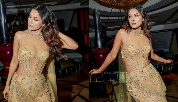 Shehnaaz Gill Oozes Hotness In Tarun Tahiliani